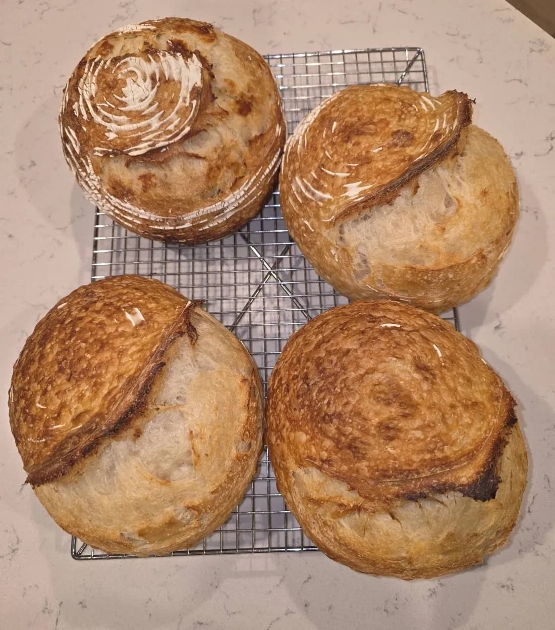 Four round, crusty loaves of bread with scored tops cooling on a wire rack